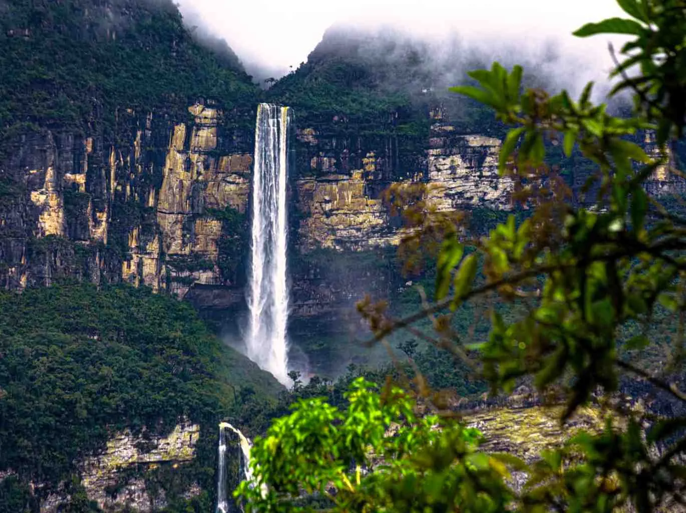 Amazonas